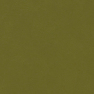 color-box