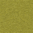 color-box