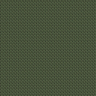 color-box