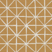 color-box
