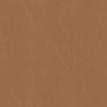 color-box