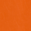 color-box