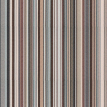 color-box