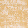 color-box