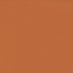 color-box