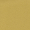 color-box