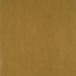 color-box