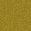 color-box