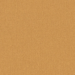 color-box