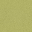 color-box