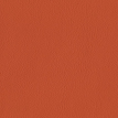 color-box