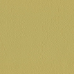 color-box