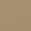color-box