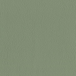 color-box