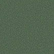 color-box