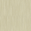 color-box