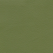 color-box