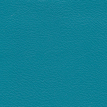 color-box