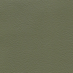 color-box