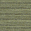 color-box