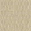 color-box