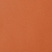 color-box