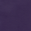color-box