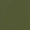 color-box