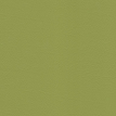 color-box