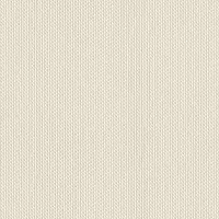 Silicone Reveal