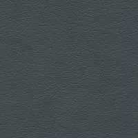 Ultraleather Pearlized