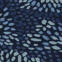 Nautilus