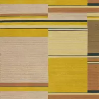 Large Scale Geometric