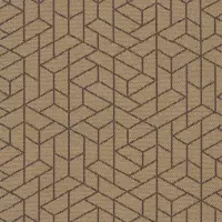 Flexagon