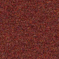 FLECK