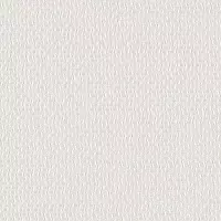 Mica Shift