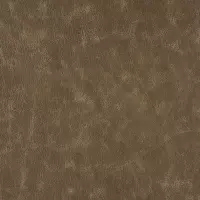 Wild West