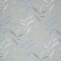 Aquarius