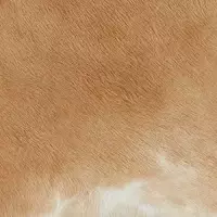 Hair On Hide