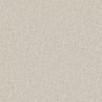 Brushed Flannel - CT27