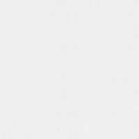 Artist Canvas Textured Vinyl - CW09