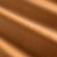 DANTE