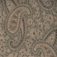 Paisley