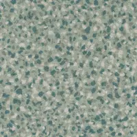 Speckle