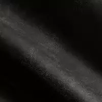 RAVEN