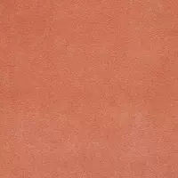 Performance Velvet