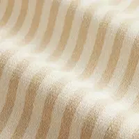 ZARA STRIPE
