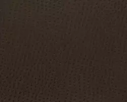 Outback